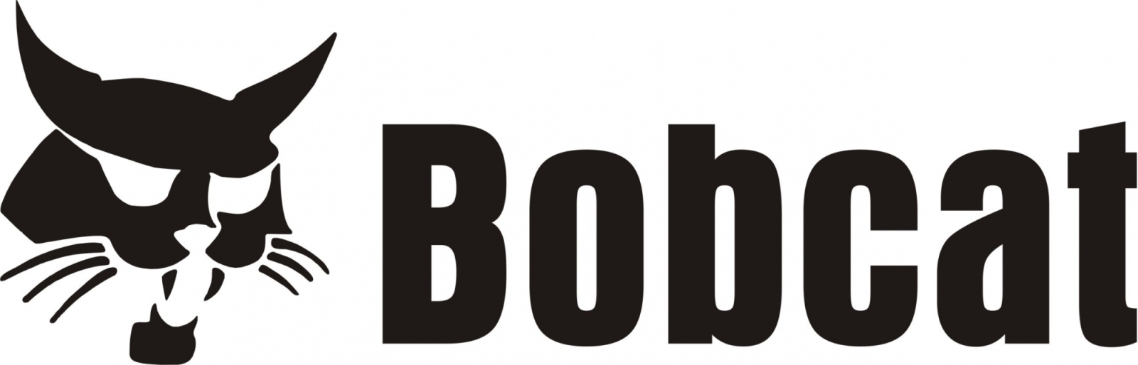 Bobcat
