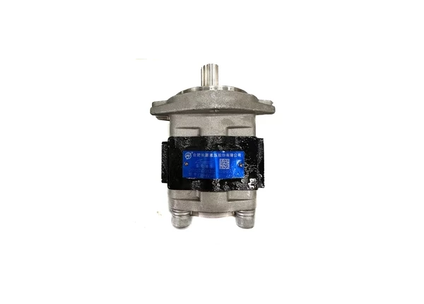 Гидронасос SHANN CPD20-35 (CBHV-F30-AL7F) против час.